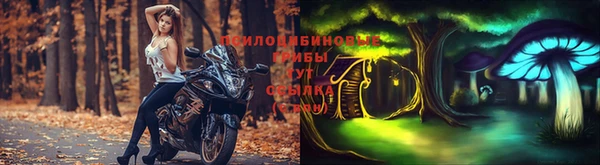 прущий лед Богородск