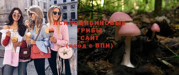 прущий лед Богородск