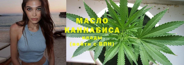 дмт Богородицк