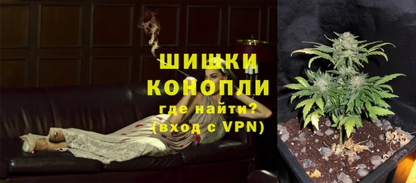 дмт Богородицк