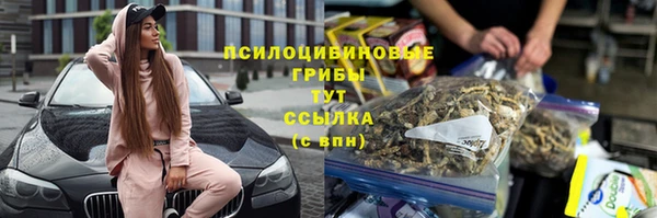 прущий лед Богородск