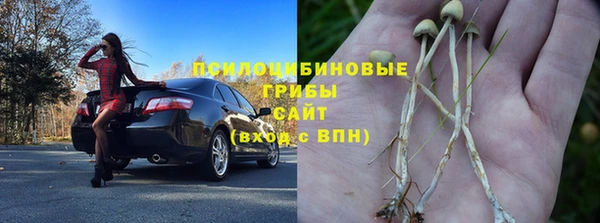 прущий лед Богородск