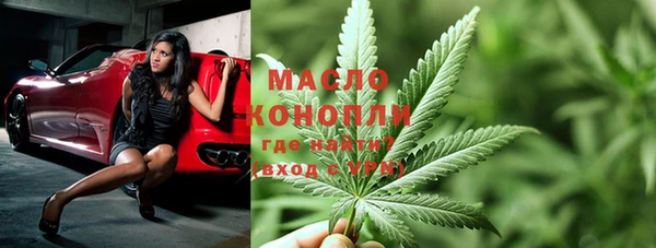 дмт Богородицк
