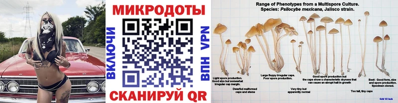 Псилоцибиновые грибы прущие грибы Шумиха