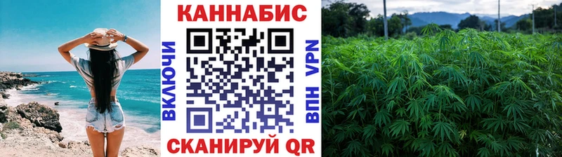 Шишки марихуана сатива Шумиха